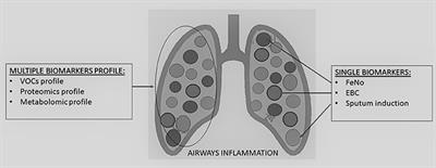 Measuring Airway Inflammation in Asthmatic Children